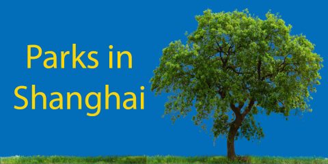 Parks in Shanghai 🌳 An Insiders Guide to Xuhui Riverside Park Thumbnail