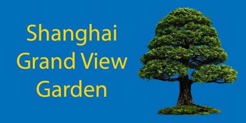 Shanghai Grand View Garden: A Literary Tour with LTL Thumbnail