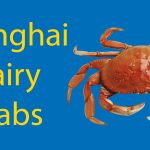 Shanghai Hairy Crabs - A Must-Try Local Delicacy Thumbnail