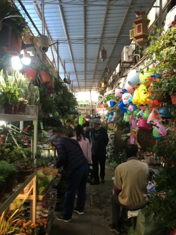 flower and bird market_narrow walkway