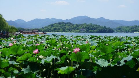 places-outside-shanghai-visit