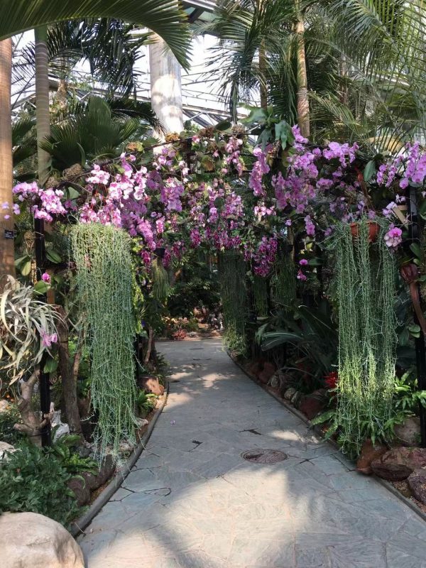 The Shanghai Botanical Garden