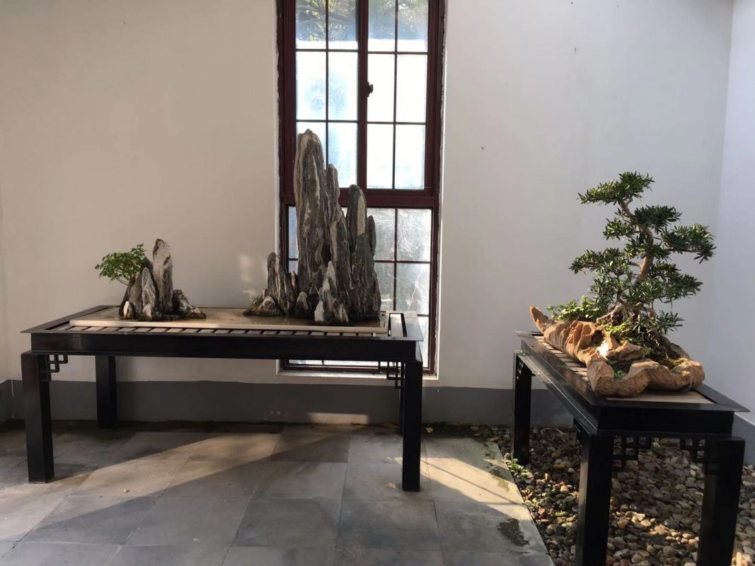 jardin botanique de shanghai