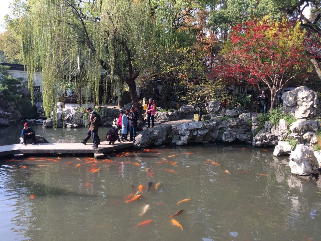 Yu Yuan / Yu Garden in Shanghai - A Beautiful Setting